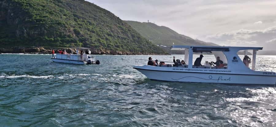 Knysna: 75-Minute Lagoon Boat Cruise - The 75-minute route: what happens from start to finish