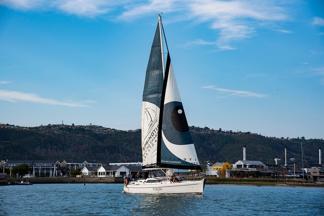 Knysna Day Sailing Cruise 1.5 hour - Dolphins and whales, with real ecosystem talk
