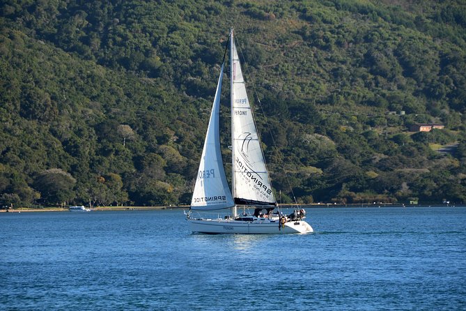 Knysna Day Sailing Cruise 1.5 hour - Onboard feel: small-group attention and the crew dynamic