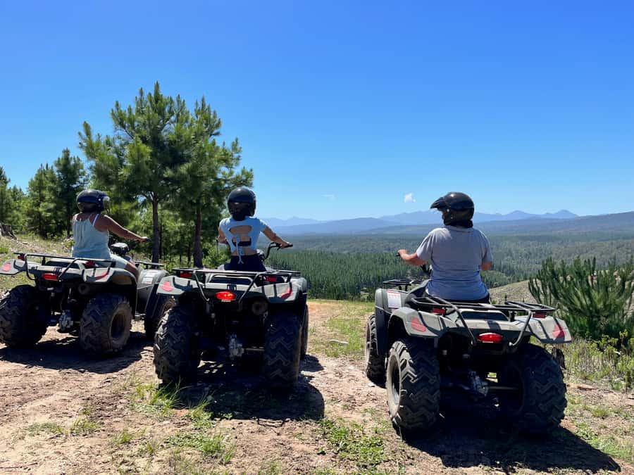 Knysna: Guided Quad Bike Tour in the Forest - Entering the Knysna Forest: pine trails meet indigenous cover