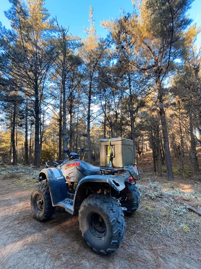 Knysna: Guided Quad Bike Tour in the Forest - What’s included, and what you need to budget separately