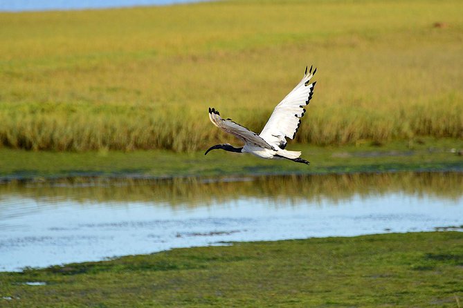 Knysna Heads & Lagoon Adventure Tour - Knysna Heads: The Iconic View, the Water Dynamics, and Possible Caves