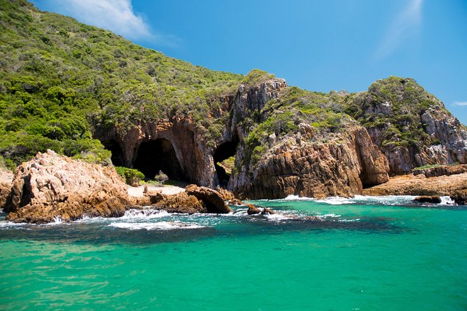 Knysna Heads & Lagoon Adventure Tour - Wildlife Moments: How to Think About Dolphins, Seals, and Fish