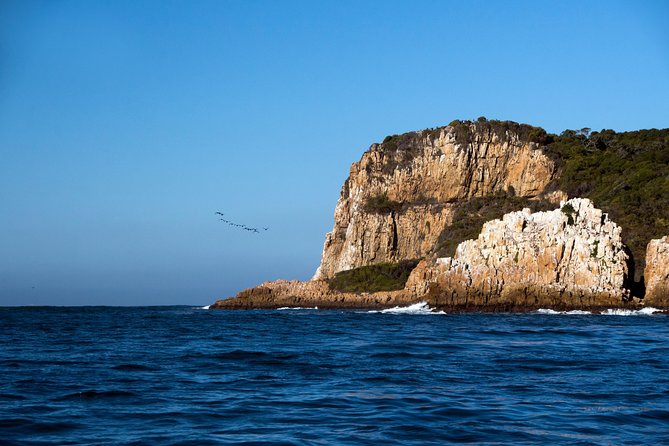 Knysna Heads & Lagoon Adventure Tour - The Guide Commentary Advantage: Learning Without Feeling Like School