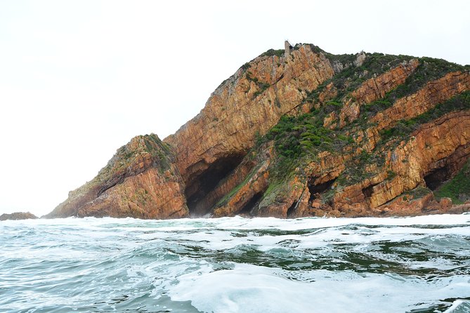 Knysna Heads & Lagoon Adventure Tour - Knysna Lagoon Cruise: Birdlife, Estuary Views, and Why This Part Matters