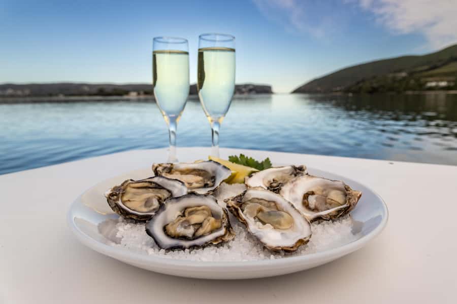 Knysna: Knysna Lagoon Pontoon Boat Cruise - Price and value: is $29 actually a good deal?