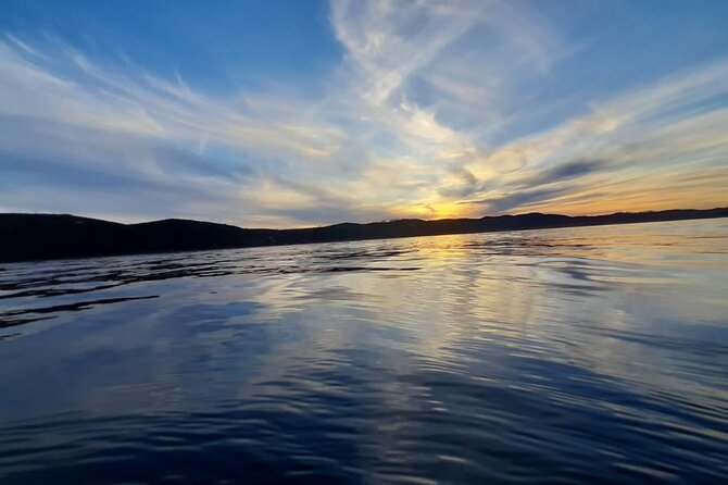 Knysna Lagoon Boat Cruises - Wildlife Spotting That Actually Helps You Notice Things