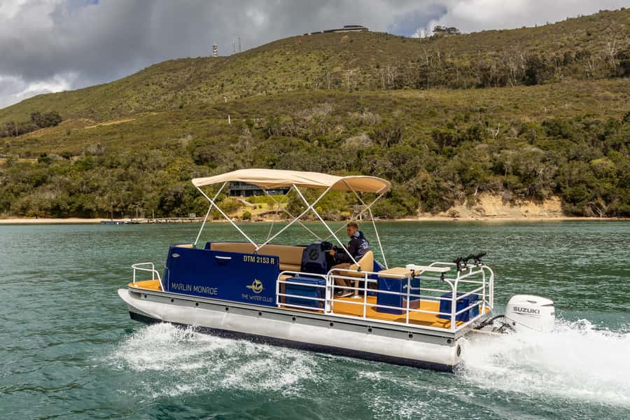 Knysna Lagoon Fishing Charter - Gear, Bait, and Guide Support That Keeps You Casting