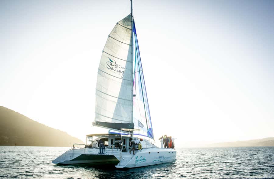 Knysna: Luxury Catamaran Marine Adventure Tour - Who this Knysna catamaran cruise suits best