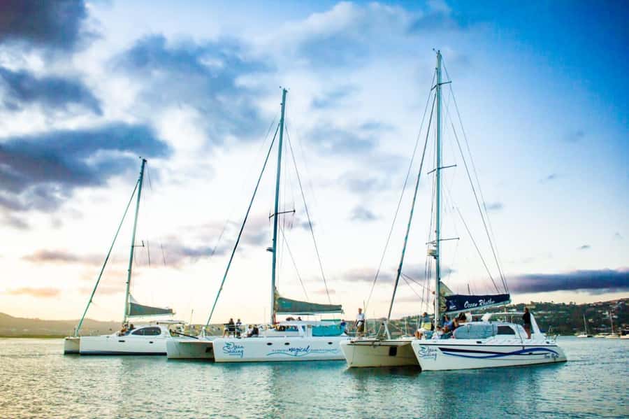 Knysna: Luxury Catamaran Marine Adventure Tour - Getting there: Thesen Island and Sirocco Jetty
