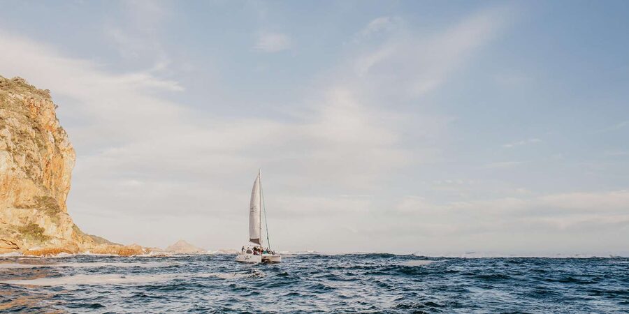 Knysna: Luxury Catamaran Marine Adventure Tour - Timing and what 2 hours means for your day plan