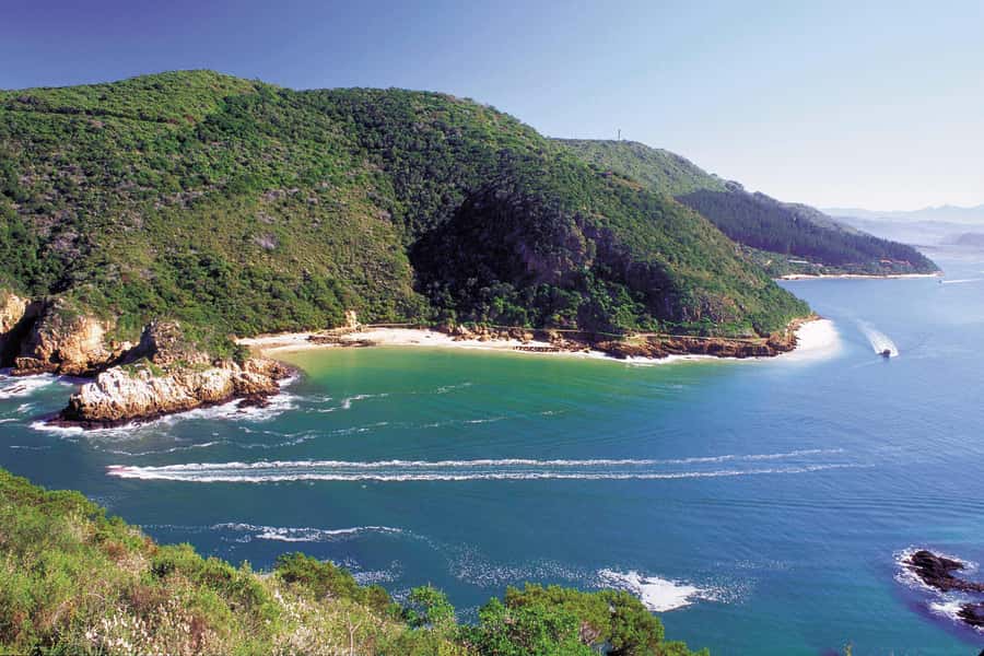 Knysna: Luxury Catamaran Marine Adventure Tour - What you are really paying for: luxury catamaran comfort