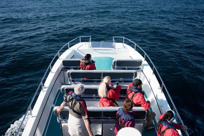 Knysna Marine Life & Garden Route Coastline Experience - Key things I’d watch for on this cruise