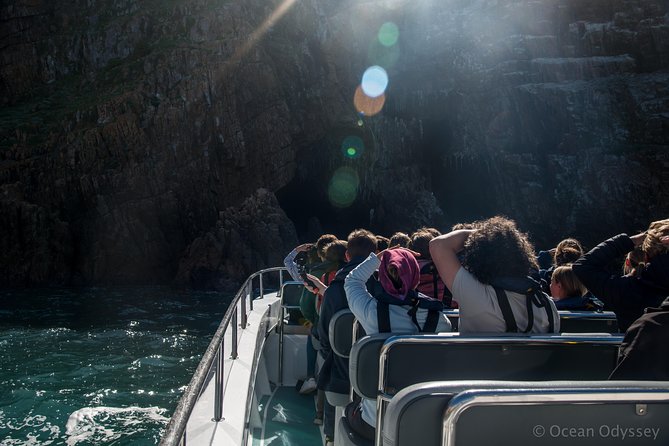 Knysna Marine Life & Garden Route Coastline Experience - Knysna Lagoon and estuary: seeing the protected side up close