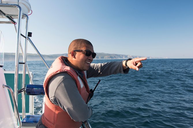 Knysna Marine Life & Garden Route Coastline Experience - What you actually get from the local guide and crew