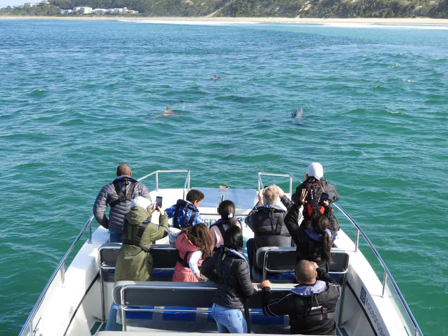 Knysna: Marine Life & Garden Route Coastline Tour - Key highlights at a glance