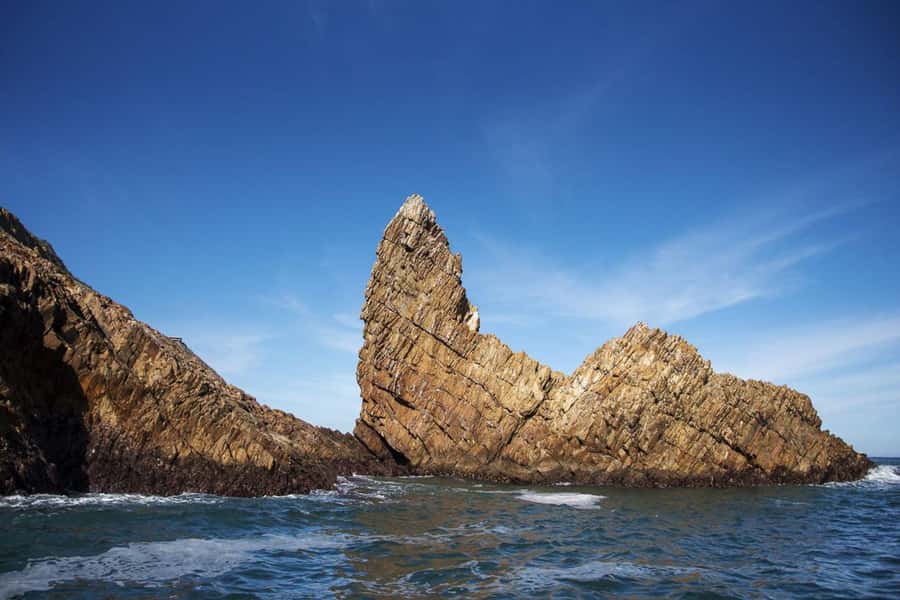 Knysna: Marine Life & Garden Route Coastline Tour - Marine life viewing: what you might spot and why the guide matters