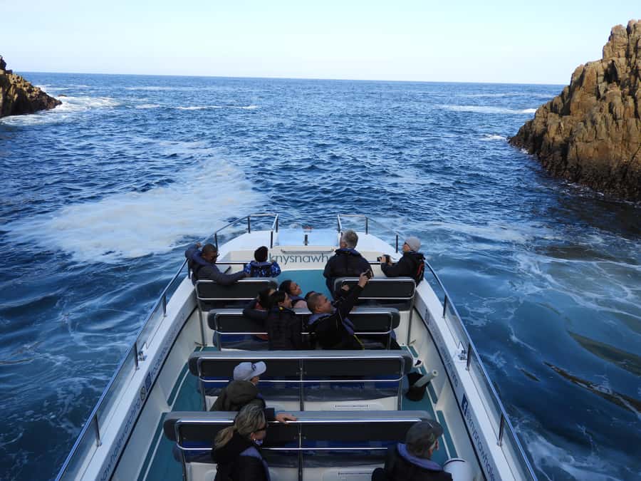 Knysna: Marine Life & Garden Route Coastline Tour - What you see at each point: the Heads, the estuary feel, and the open-water search