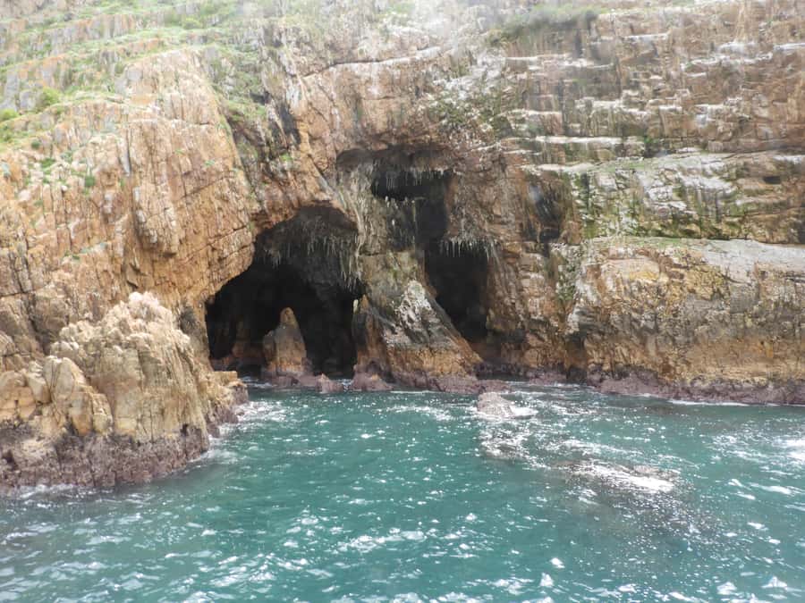 Knysna: Marine Life & Garden Route Coastline Tour - The small-group advantage: why “quality” usually means better odds