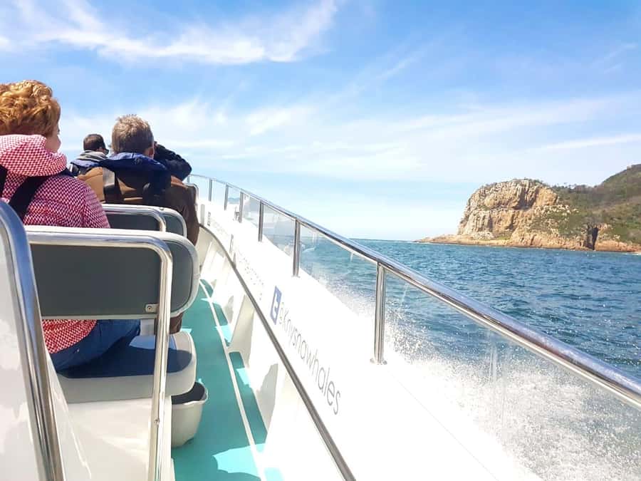 Knysna: Marine Life & Garden Route Coastline Tour - The route that matters: estuary, Knysna Heads, and pushing out toward the Indian Ocean