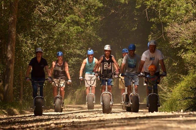 Knysna Scootours - Why a Scooter Tour Feels Right in Knysna Forest
