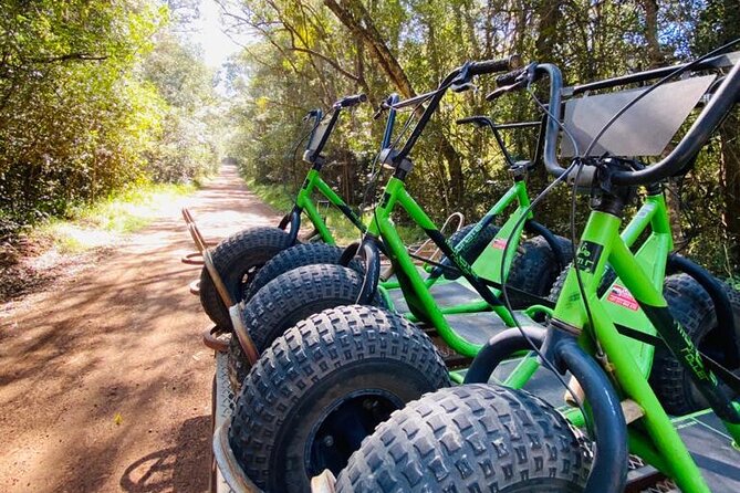 Knysna Scootours - Price, Value, and How to Judge If It Fits Your Budget