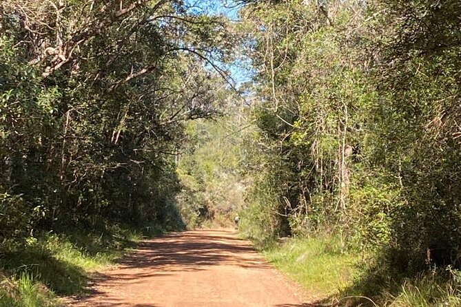 Knysna Scootours - Who This Knysna Scooter Tour Is Best For