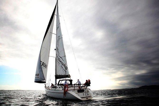 Knysna Sunset Sailing Cruise, Light Dinner & Bubbly - Wildlife spotting: what you might see and how to make it happen
