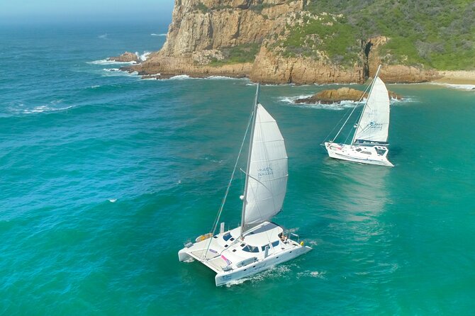 Knysna Sunset Sailing Cruise with captain's steak Braai & Bubbly - Key highlights to look for