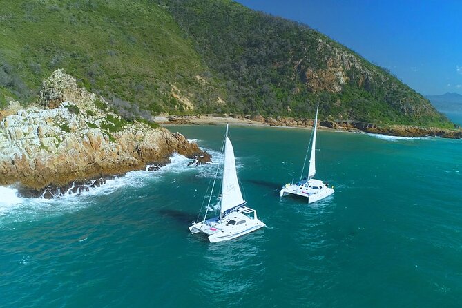 Knysna Sunset Sailing Cruise with captain's steak Braai & Bubbly - Snacks, bar drinks, and how to plan your evening calories