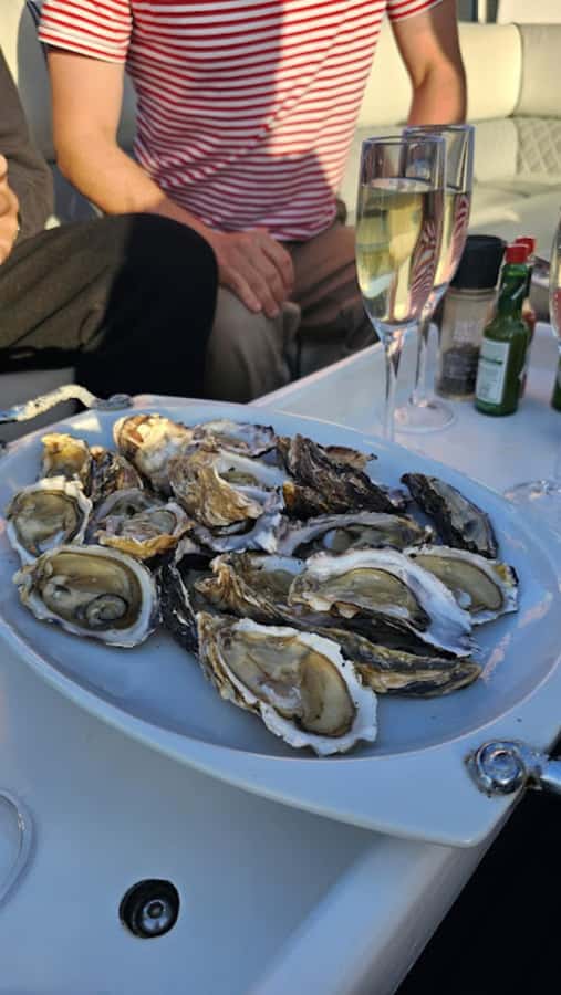 Knysna: Wine & Oyster Luxury Lounger Sunset Cruise - Getting Onboard: Where to Meet on Thesen Island