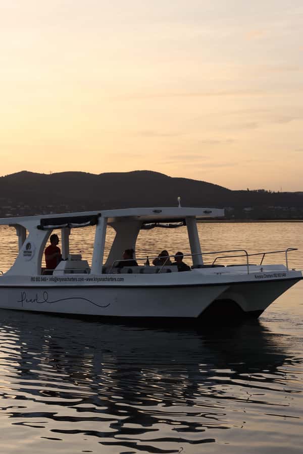Knysna: Wine & Oyster Luxury Lounger Sunset Cruise - The 90 Minutes: A Slow Route Through Knysna Estuary and Toward the Heads