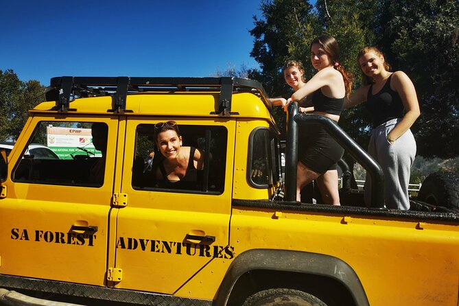 Knysna Ziplines Tour - Timing, weather, and how to pick the right slot