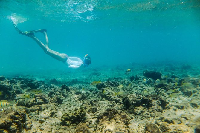 Kosi Bay Mouth Experience - Kayaking, Snorkeling, Fish Trap Tour and Fish braai - The Thonga fish trap (fish kraal) tour: culture you can see working
