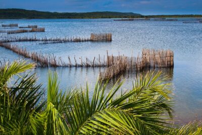 Kosi Bay Mouth Experience – Kayaking, Snorkeling, Fish Trap Tour and Fish braai