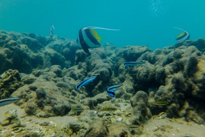 Kosi Bay Mouth Experience - Kayaking, Snorkeling, Fish Trap Tour and Fish braai - Group size, guides, and why the experience feels personal