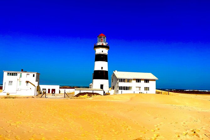 Kragga Kamma Game Drive and Scenic Coastal Tour in Port Elizabeth - Photos and animal viewing: how to set expectations