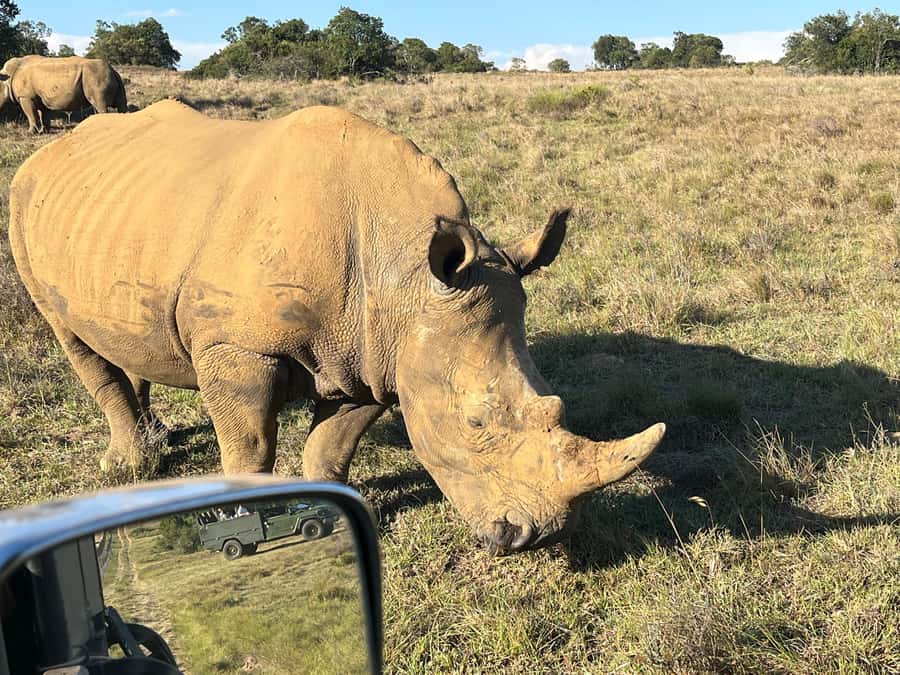 KRAGGA KAMMA GAME PARK - Price and value at about $84 for a short safari