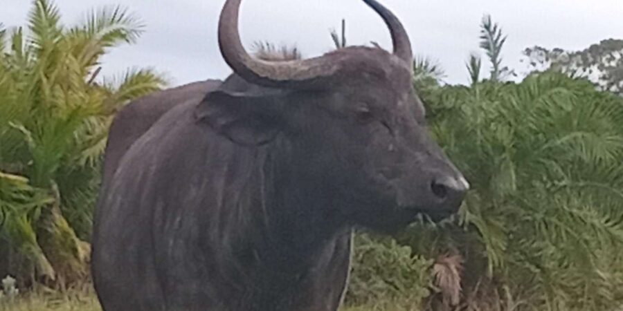 Kragga Kamma Game Park - Should you book Kragga Kamma Game Park?