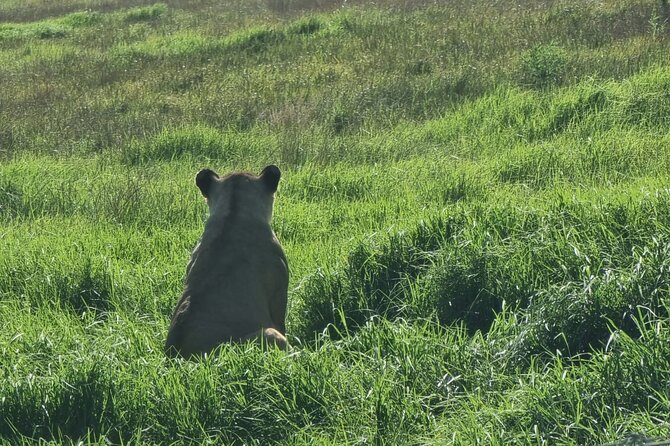 Kragga Kamma Game Park Safari Guided Tour in Port Elizabeth - Why Carlin’s guiding style matters more than you think