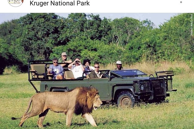 Kruger National Park 2 Days 1 Night Magical Safari from Johannesburg Private - Key Highlights Worth Your Attention