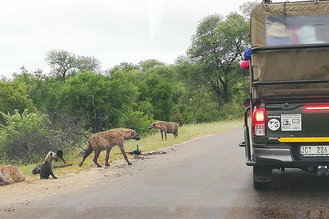 Kruger National Park 2 Days 1 Night Magical Safari from Johannesburg Private - The Panorama Route Drive From Johannesburg (It Sets the Mood)