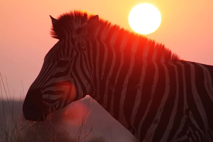 Kruger National Park: 3 Day Safari Tour - Blyde River Canyon View Site: A Scenic Brake Before the Journey Home