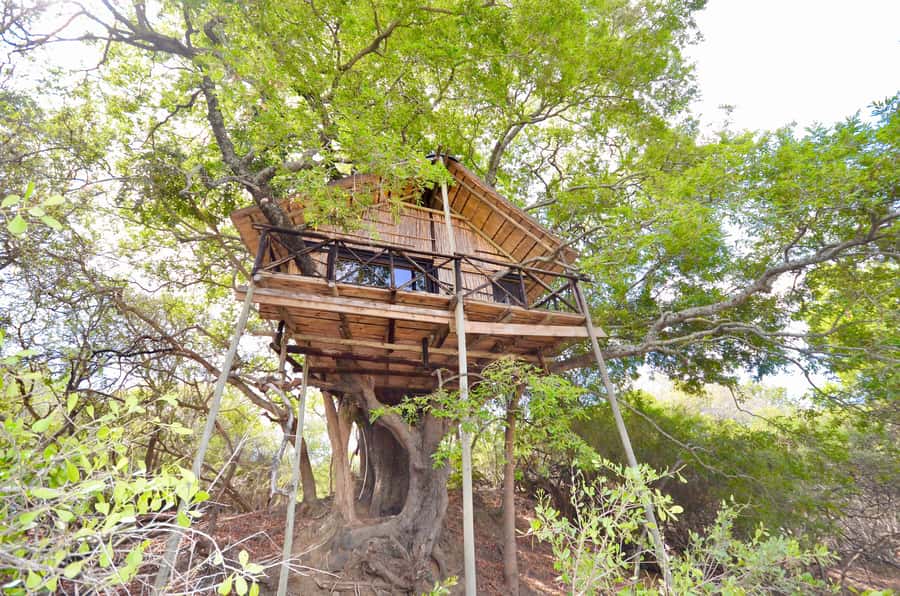 Kruger National Park: 3-Day Safari Tour and Treehouse Stay - Getting To Kruger: The Drive That Sets the Mood