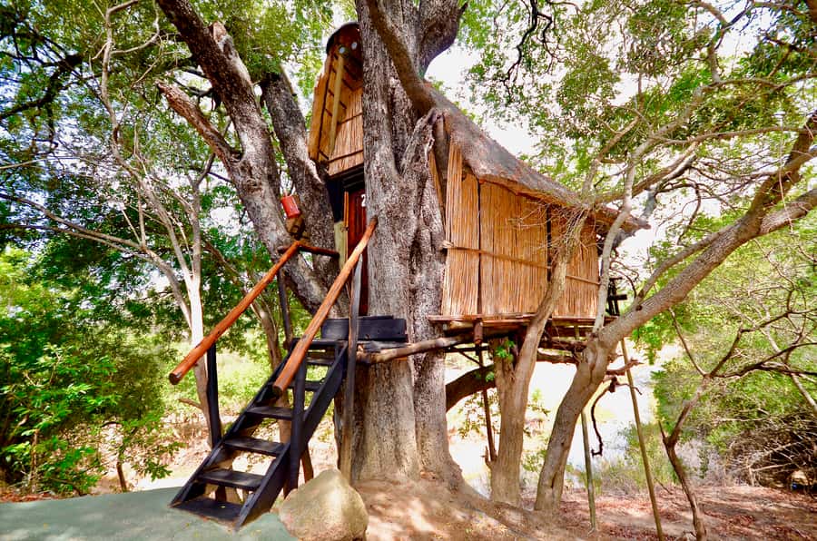 Kruger National Park: 3-Day Safari Tour and Treehouse Stay - Day 2 in Orpen: Open Gameviewer Safari and the Best Chance at Predators