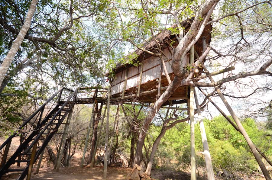 Kruger National Park: 3-Day Safari Tour and Treehouse Stay - Day 3: Sunrise Bush Walk With an Armed Ranger, Then Panorama Route Icons