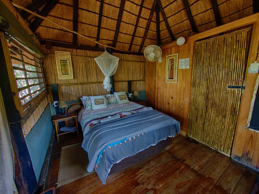 Kruger National Park: 3-Day Safari Tour and Treehouse Stay - Food on Safari: What’s Included and What You’ll Buy