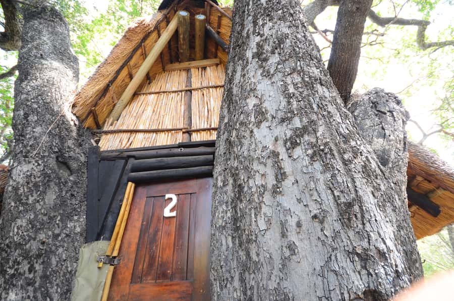 Kruger National Park: 3-Day Safari Tour and Treehouse Stay - Wildlife Viewing and Photography: How to Get More From Every Drive