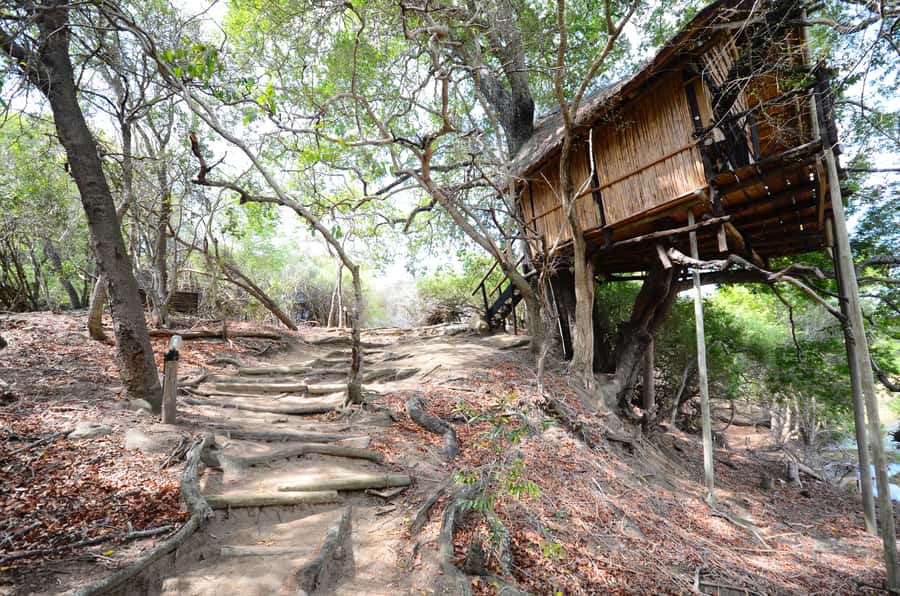 Kruger National Park: 3-Day Safari Tour and Treehouse Stay - Day 1 in Balule: Sunset Game Drive, Night Drive, and Marula Tree Boma BBQ