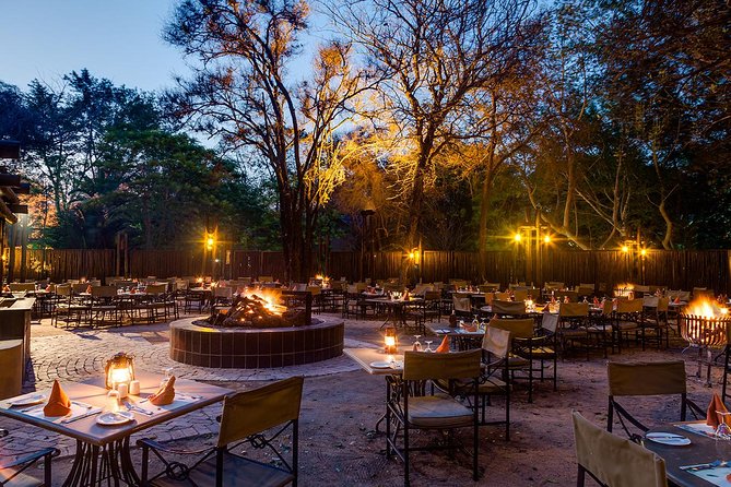 Kruger National Park 3 Days Best Ever Safari from Cape Town - Why a 3-Day Kruger Safari From Cape Town Feels Like a Win